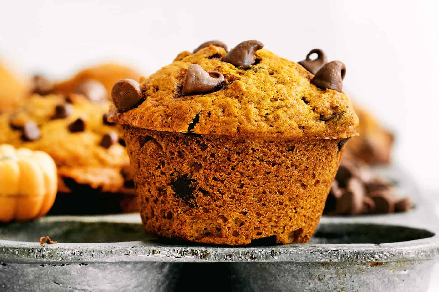 A pumpkin chocolate chip muffin on a muffin pan