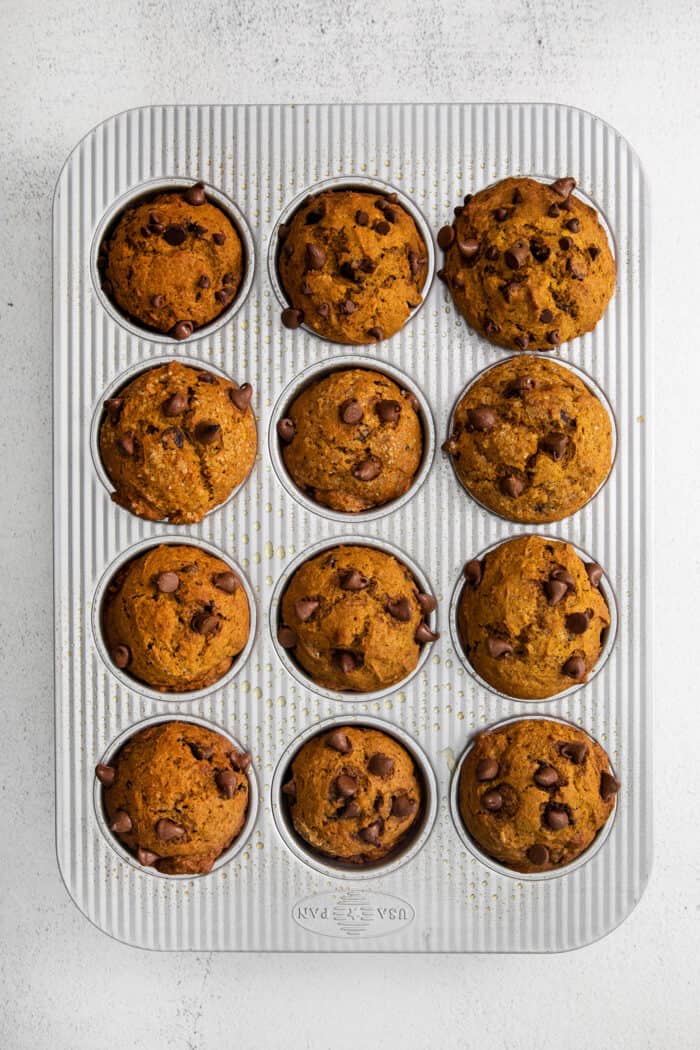 Freshly baked pumpkin chocolate chip muffins in the tray.
