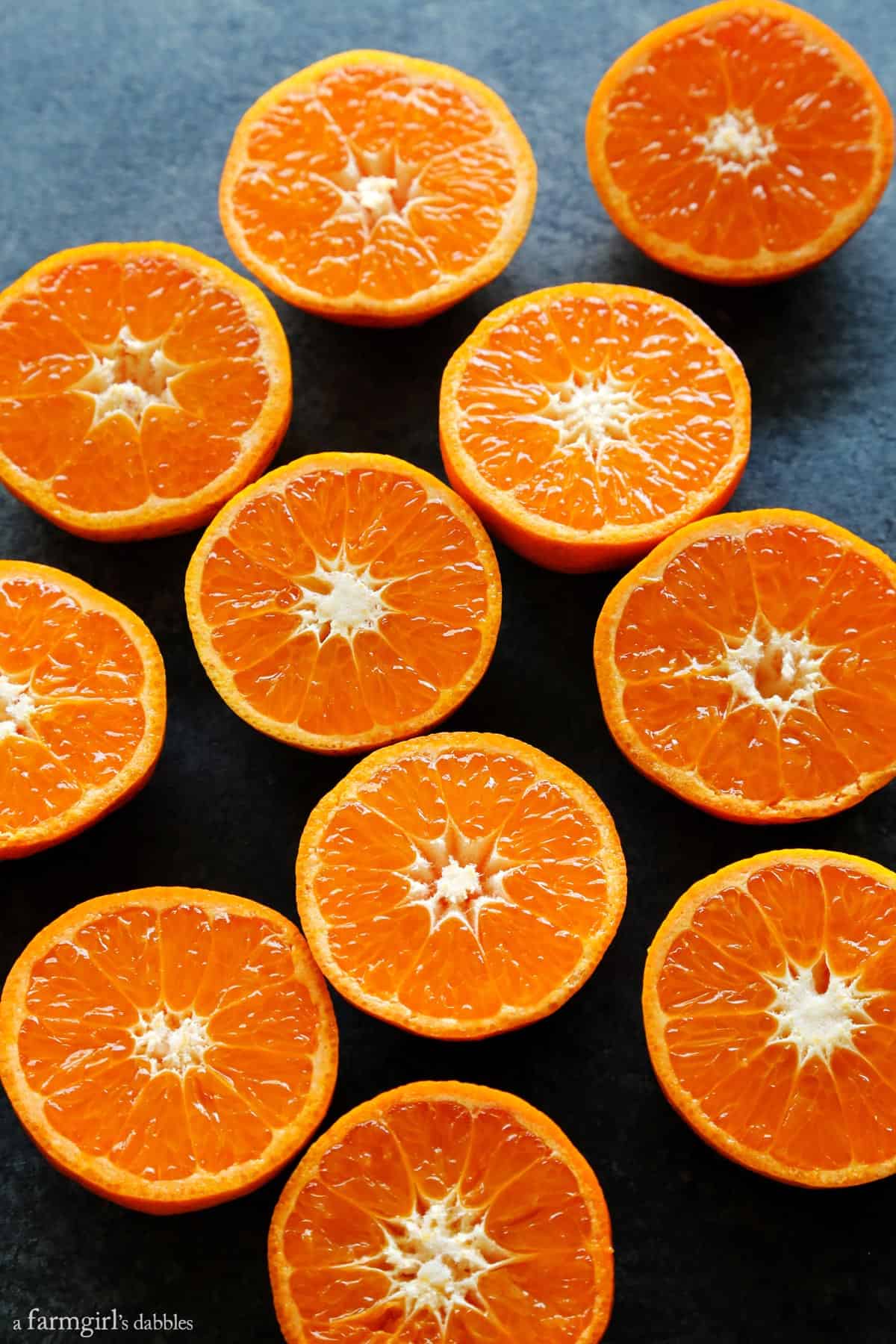Cranberry Gin and Tonic A Farmgirl's Dabbles