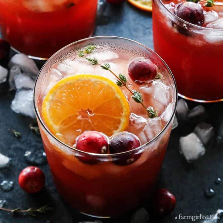 Cranberry Thyme Gin and Tonics on a blue table