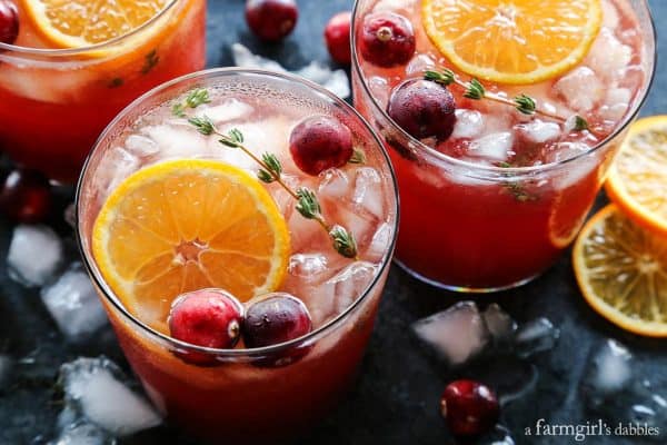 Cranberry Thyme Gin and Tonic with fresh orange slices and cranberries