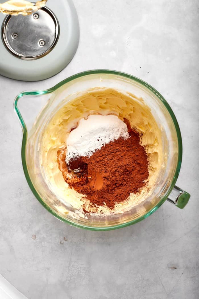 Cocoa powder, vanilla, and powdered sugar added to bowl of whipped butter.