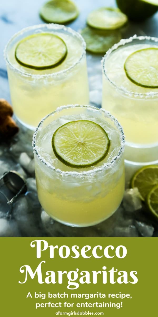 Prosecco Margaritas {big-batch cocktail} | a farmgirl's ... Prosecco Margaritas {big-batch cocktail} | a farmgirl's ...