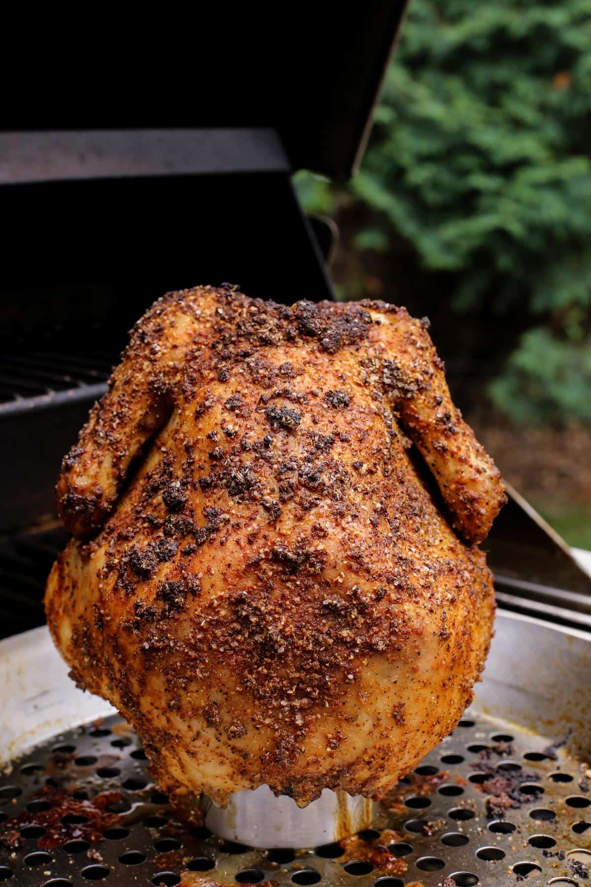 whole chicken on the grill