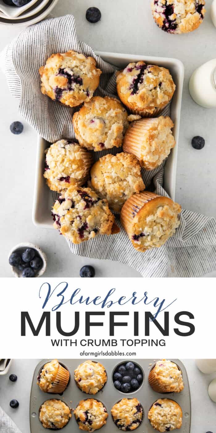 Overhead view of blueberry muffins in a pan