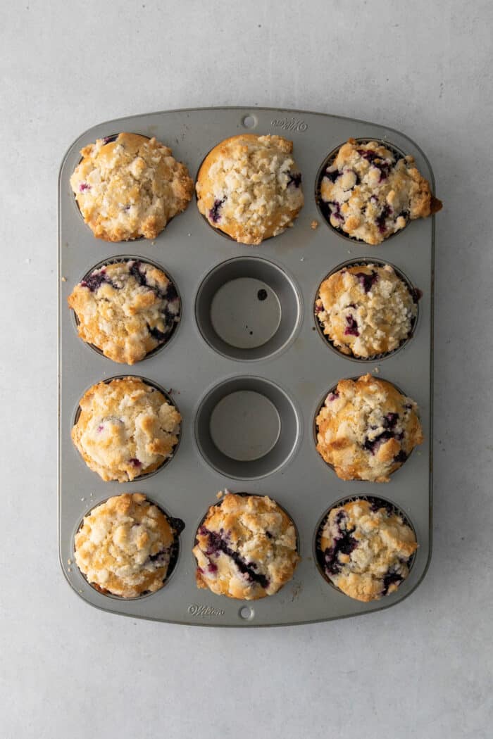 Freshly baked blueberry muffins