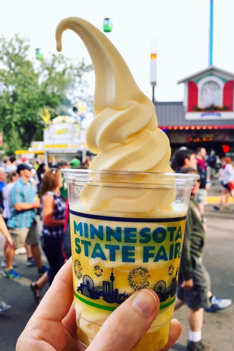 Best Minnesota State Fair Food and Drink a farmgirl's dabbles