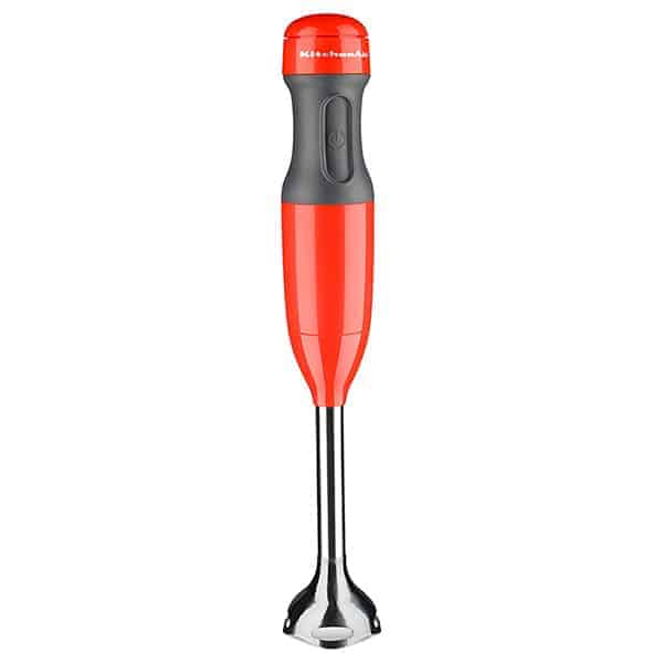 Immersion Blender