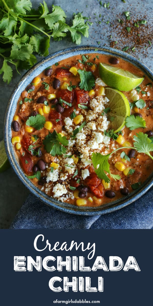 pinterest image of a bowl of Creamy Enchilada Chili