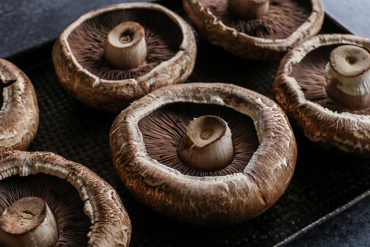 portobello mushrooms