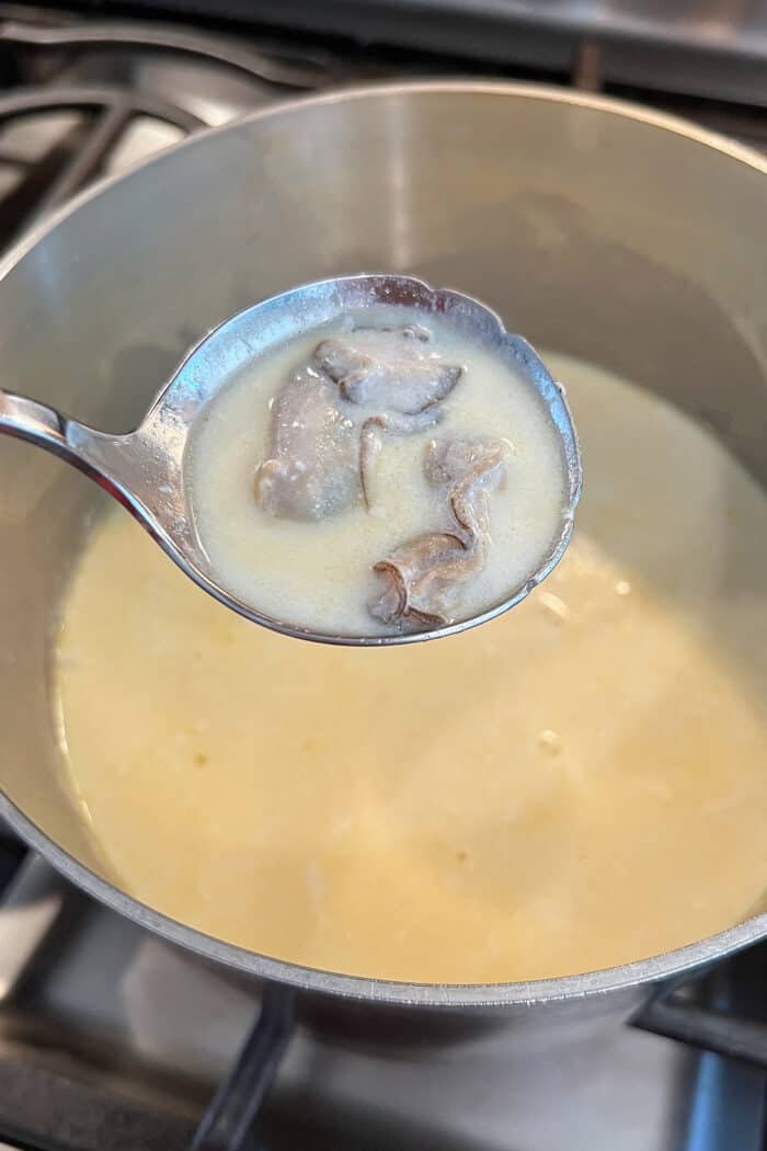 A ladle with oyster stew