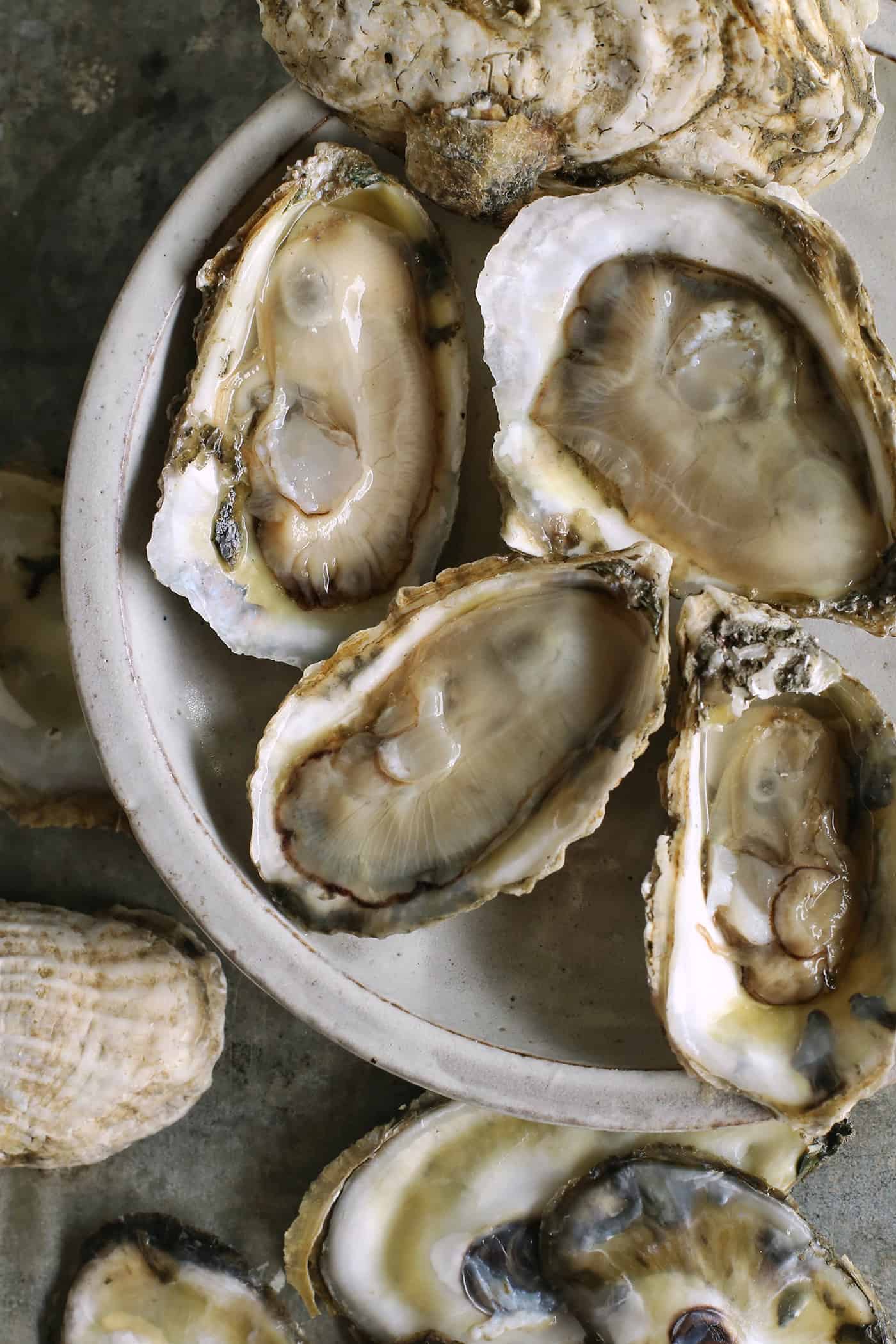 Fresh oysters in their shells