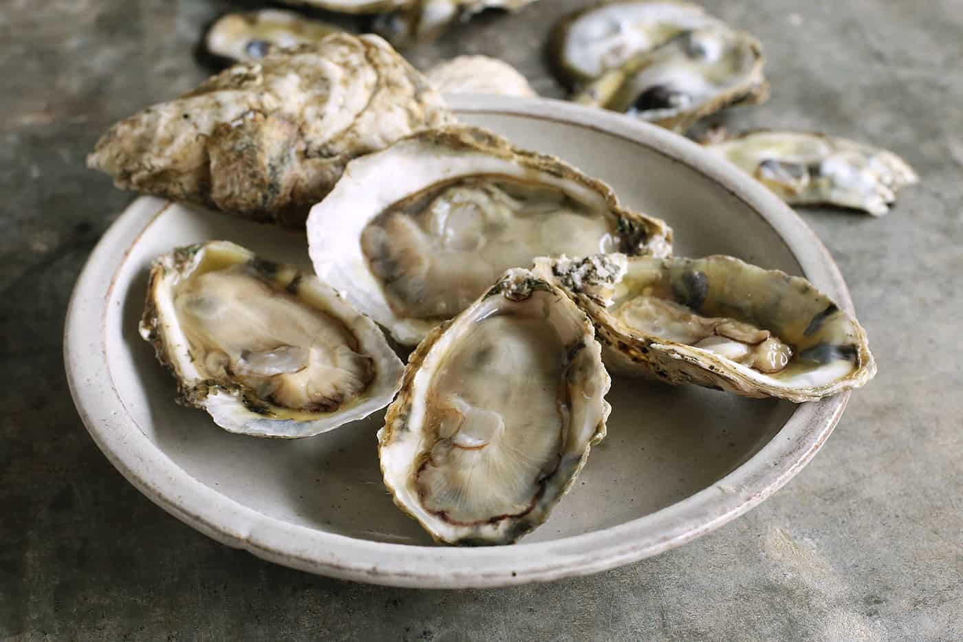 A plate of fresh oysters in their shells