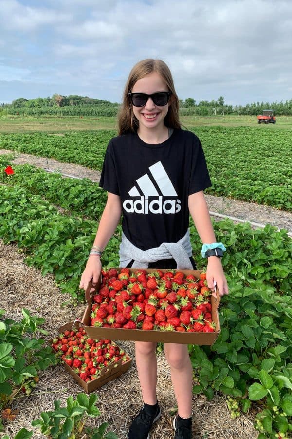 a girl holding a box of fresh strawberries