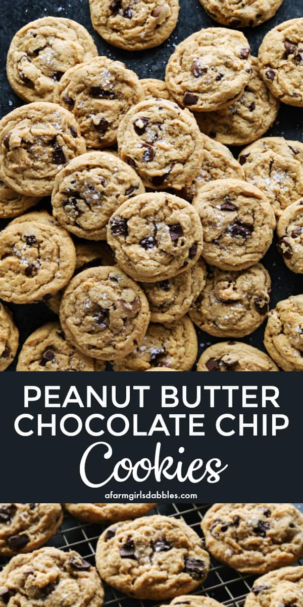 a pile of peanut butter chocolate chip cookies on a counter