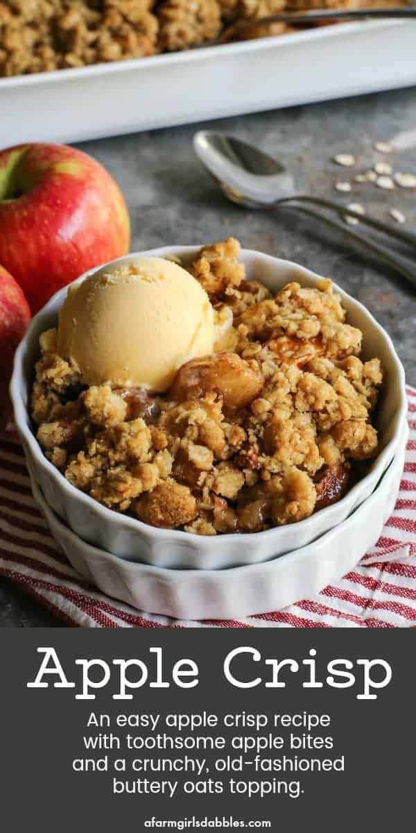 Pinterest image showing an old fashioned apple crisp in a white ramekin with ice cream