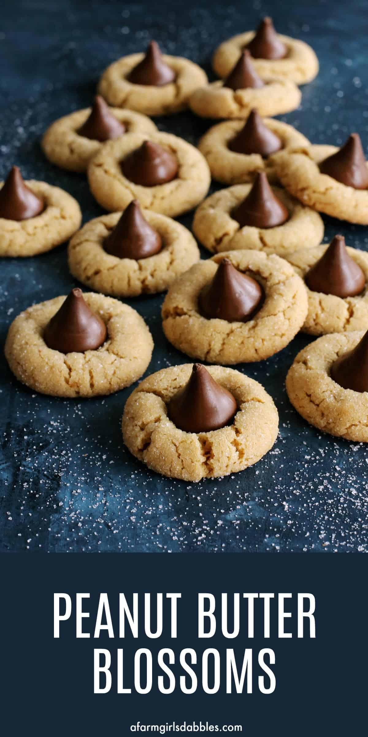 pinterest image of peanut butter blossoms cookies with a Hershey's Kiss laid out on a dark blue countertop