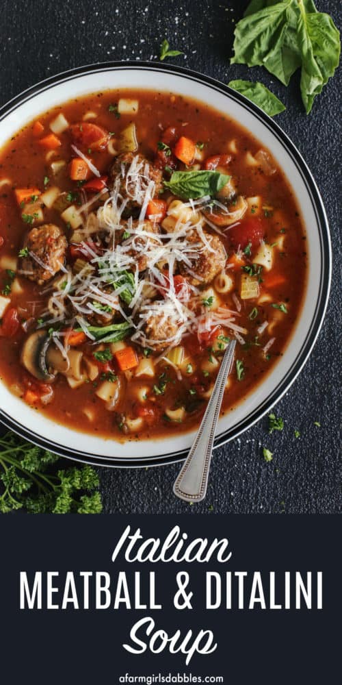 pinterest image of Italian meatball ditalini soup with fresh basil and cheese