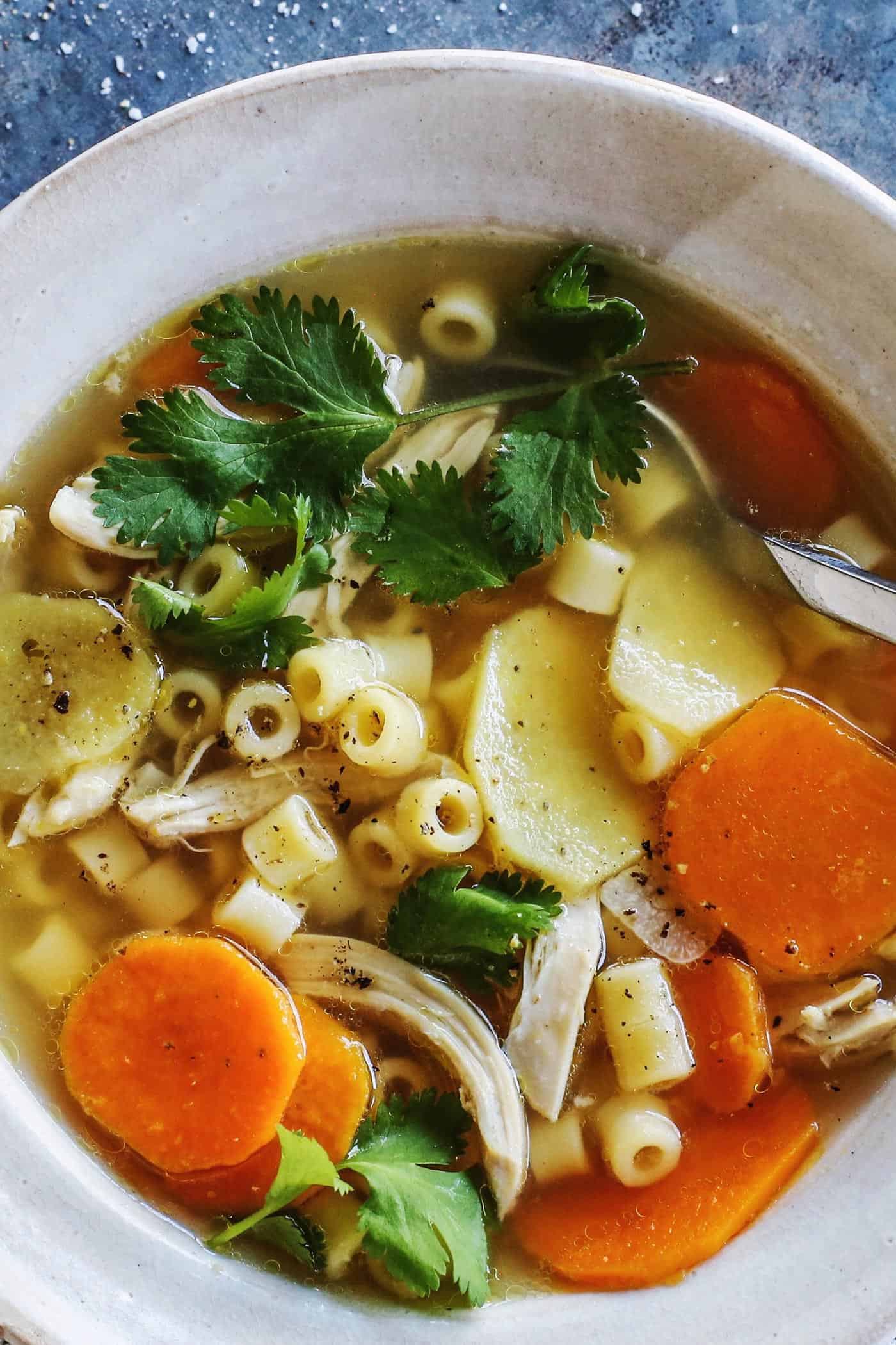 Homemade Ginger Chicken Soup Recipe - The Best Soup for a Cold!