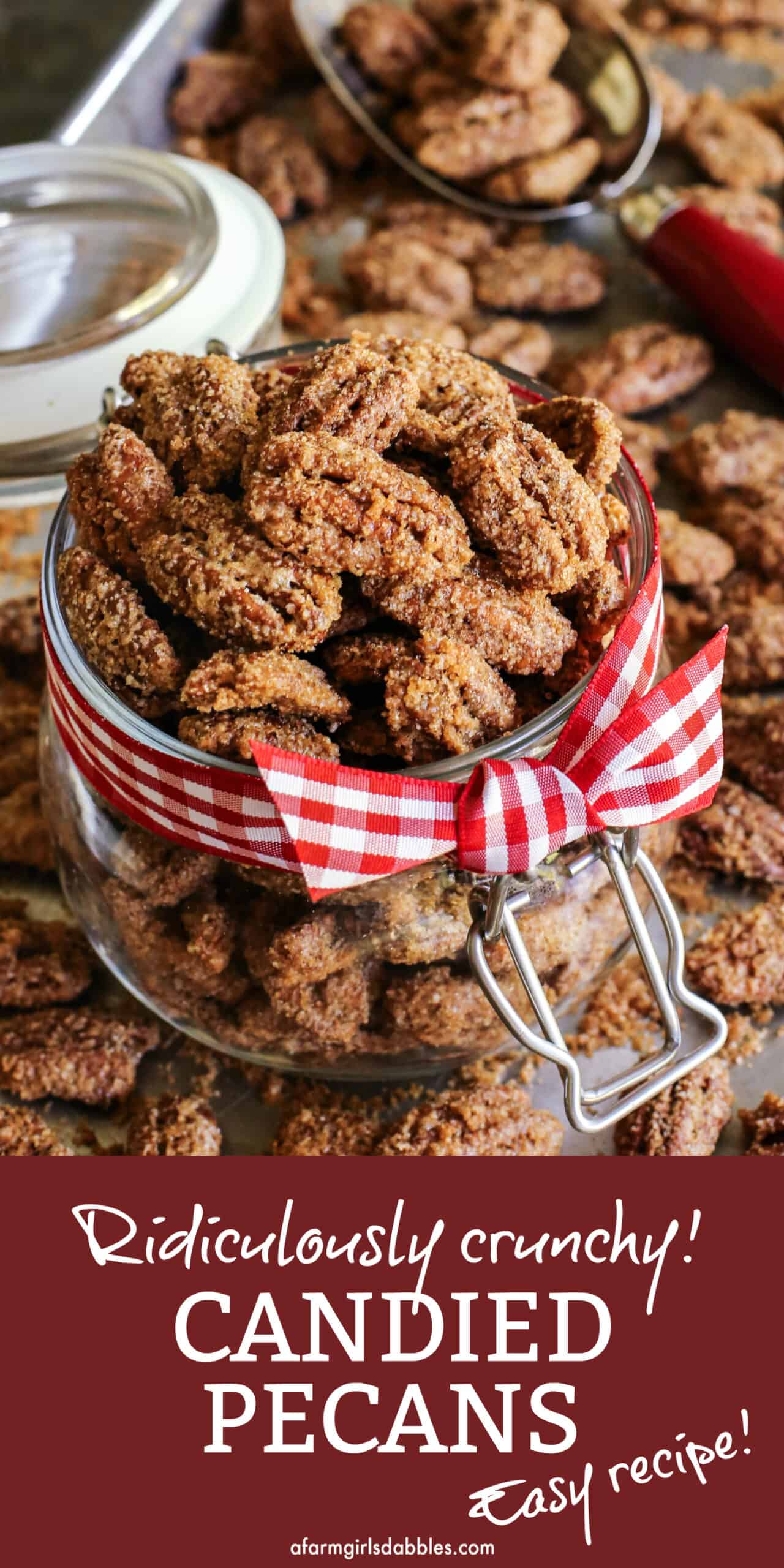 Pinterest image of candied pecans in a jar