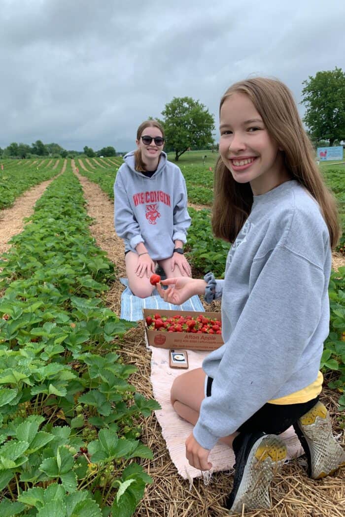 two girls in the strawberry field, picking strawberries