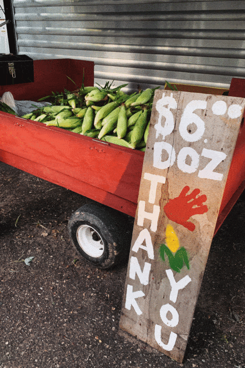 sweet corn for sale in a large wood red wagon
