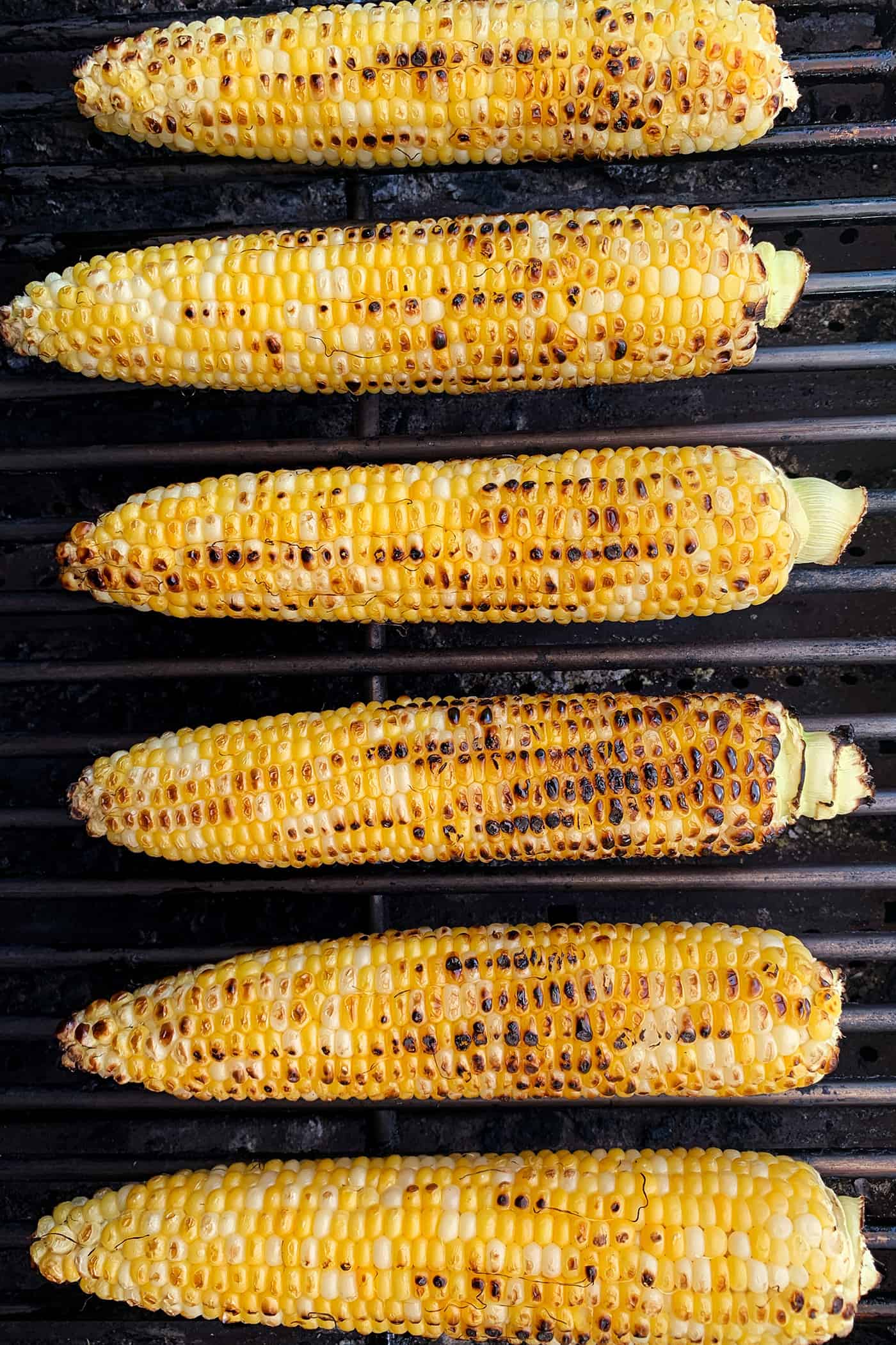 ears of sweet corn on the grill