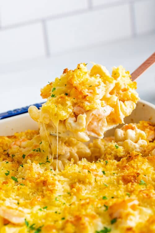 Easy Baked Shrimp Mac and Cheese A Farmgirl's Dabbles