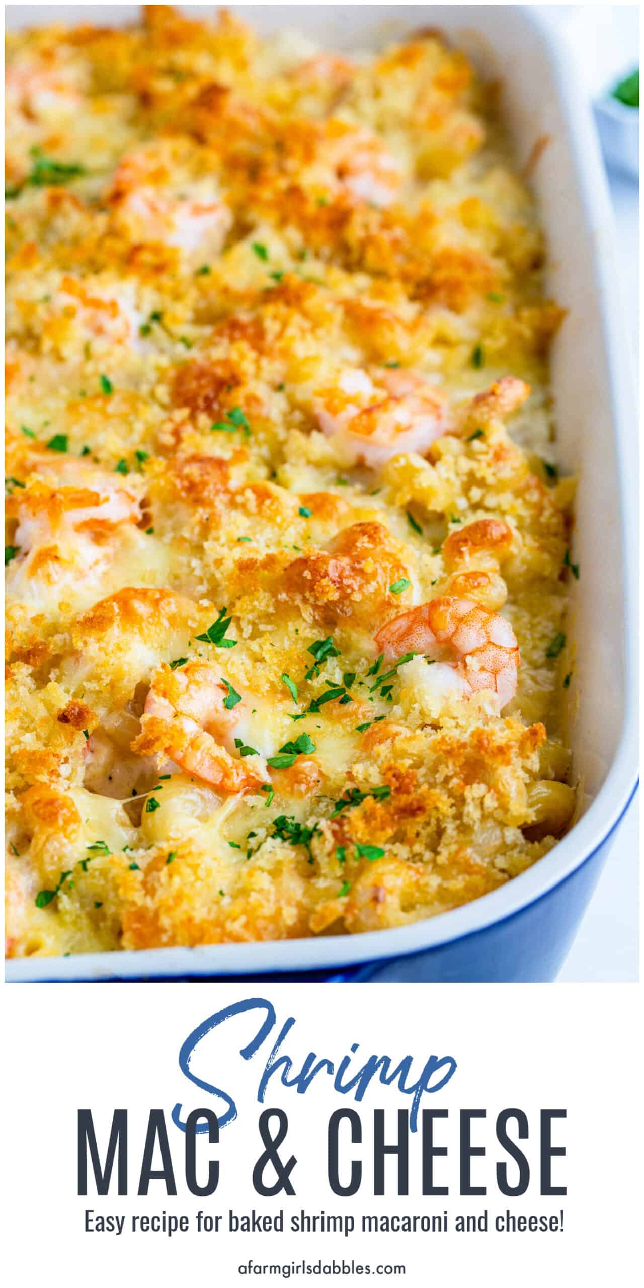 Pinterest image for shrimp mac & cheese