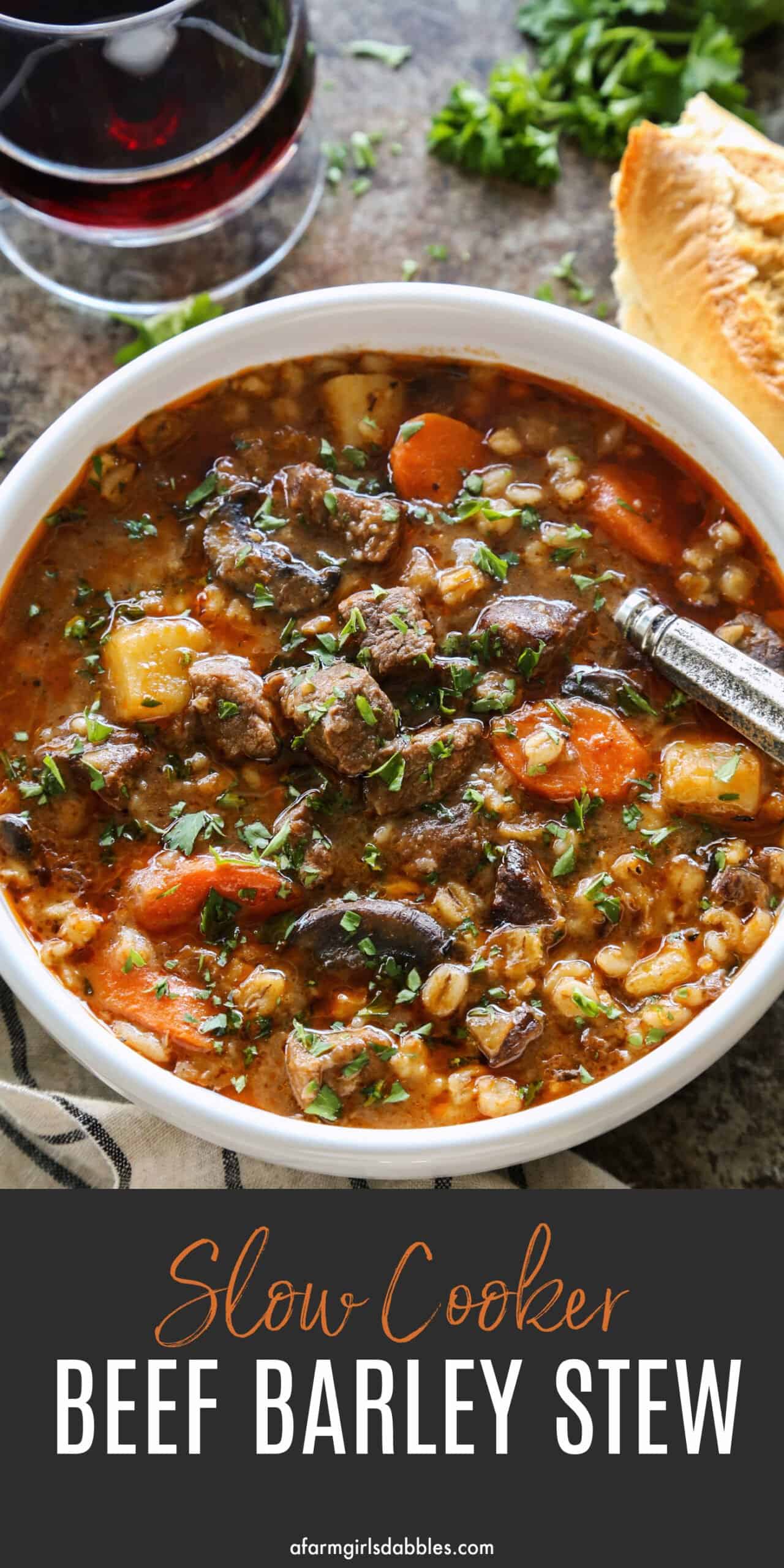 Pinterest image for slow cooker beef barley stew