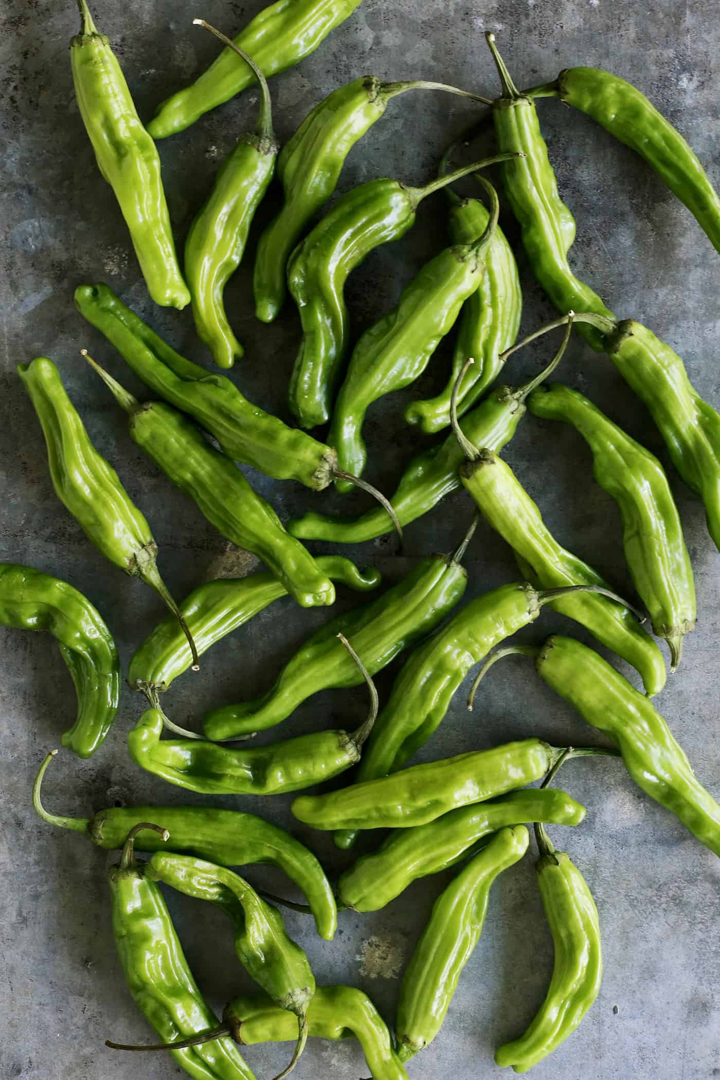 fresh shishito peppers on a gray counter