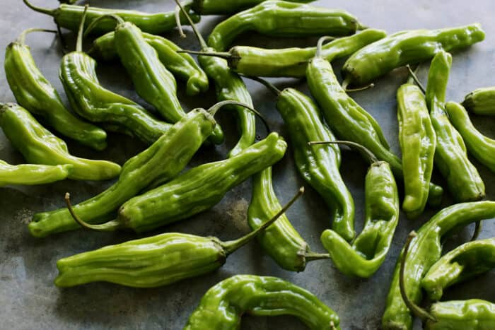 fresh shishitos on a gray counter