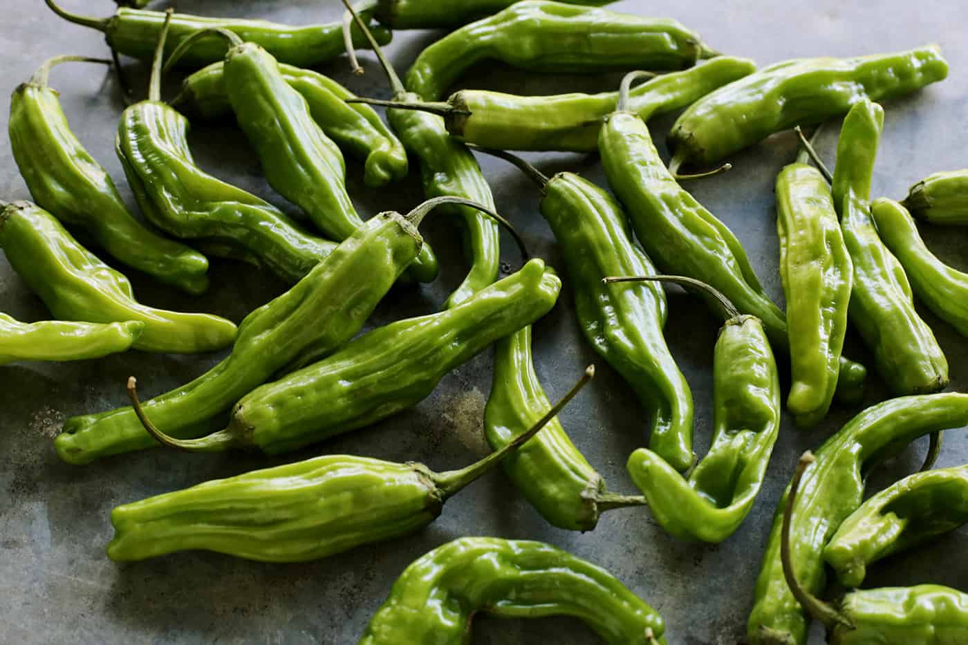 fresh shishitos on a gray counter