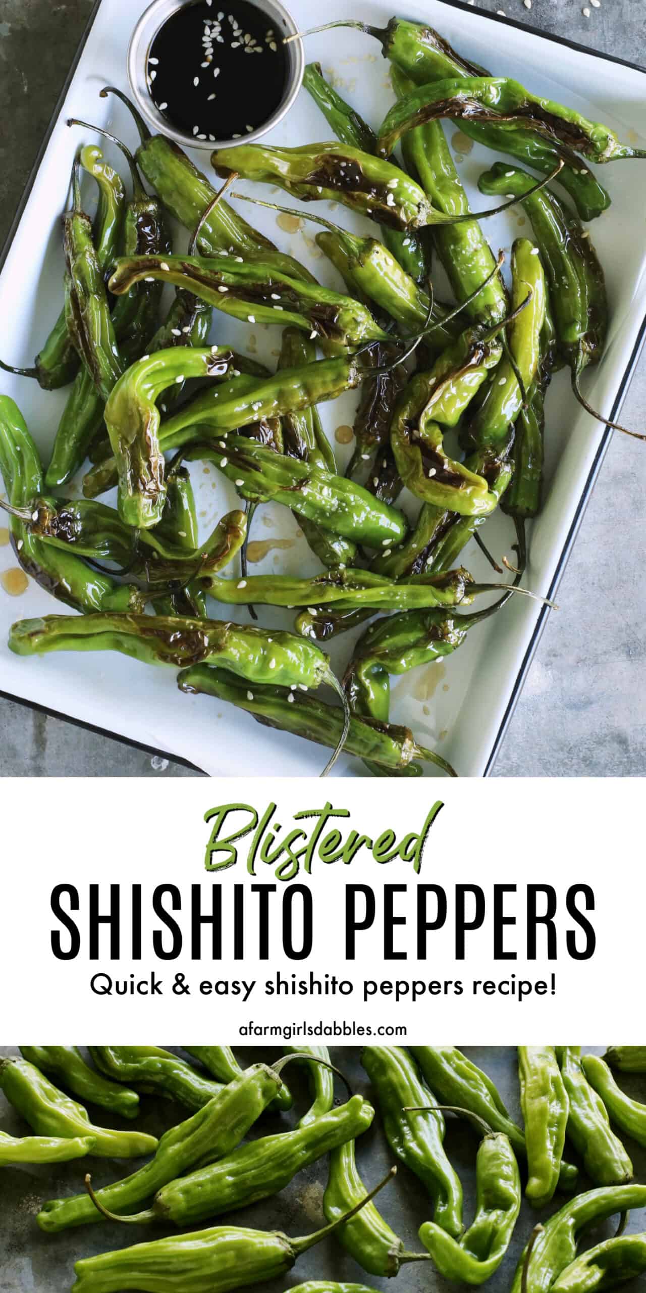 Pinterest image for blistered shishito peppers