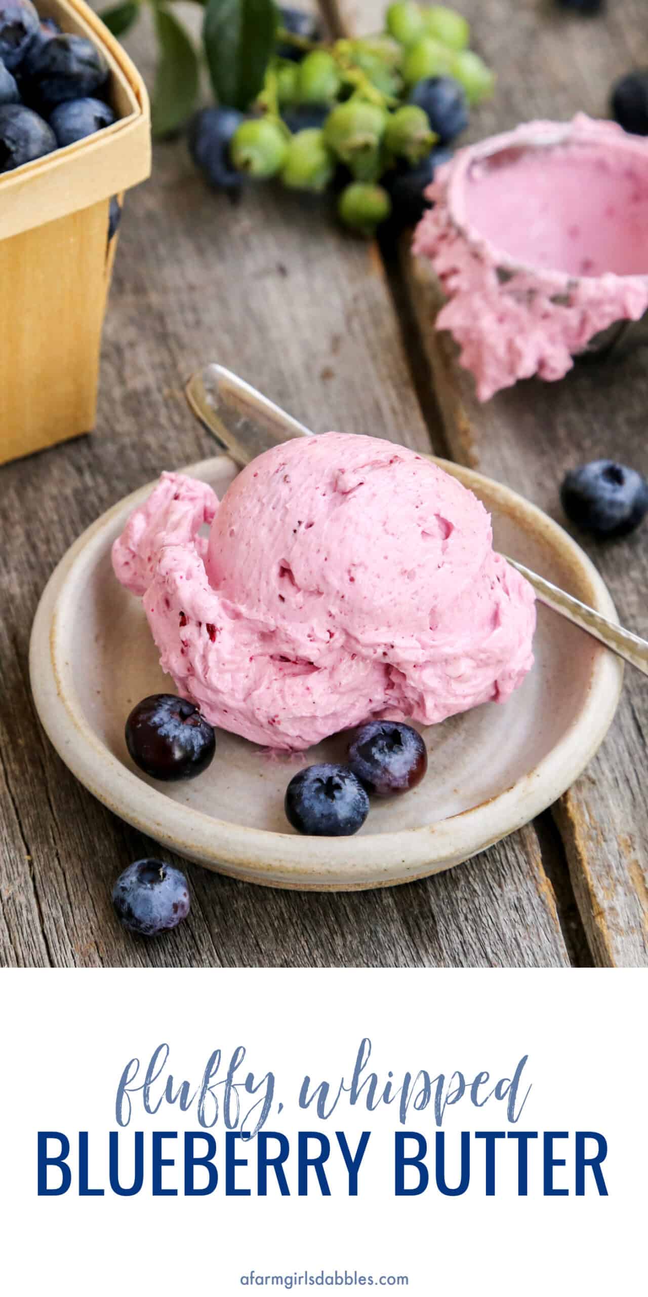 Pinterest image for blueberry butter
