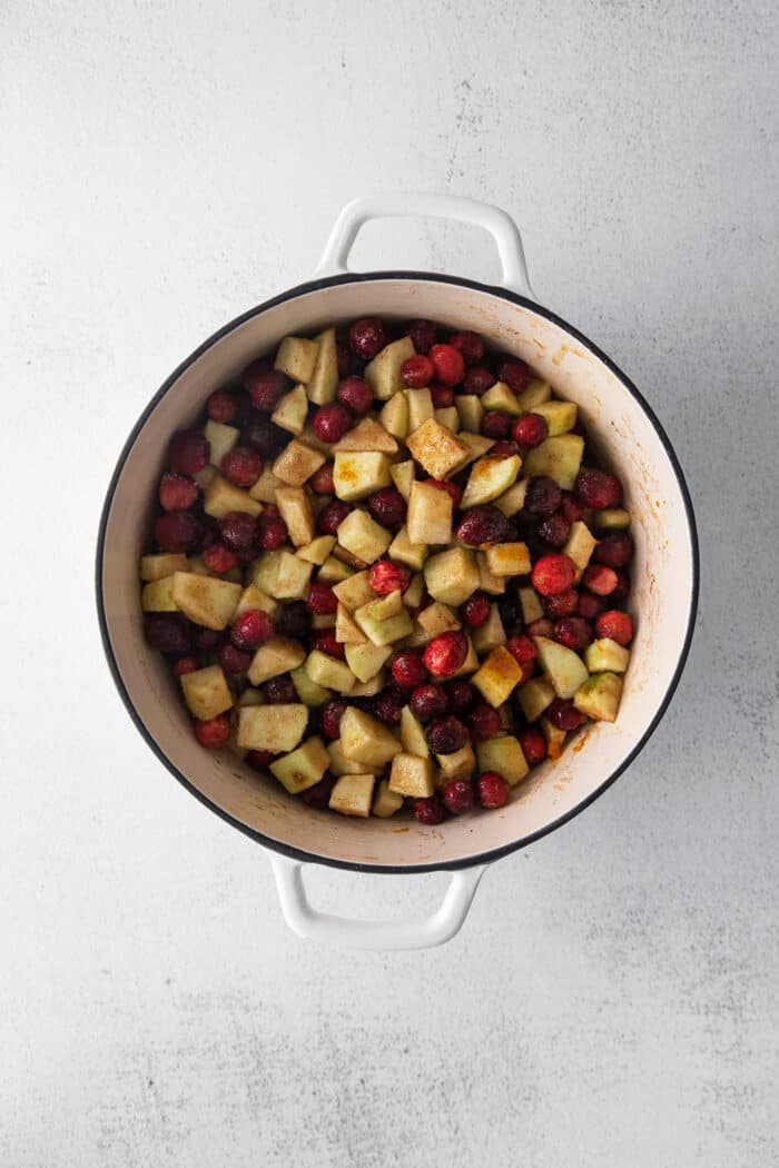 fresh cranberries, apple chunks, and orange juice with spices in a white pot