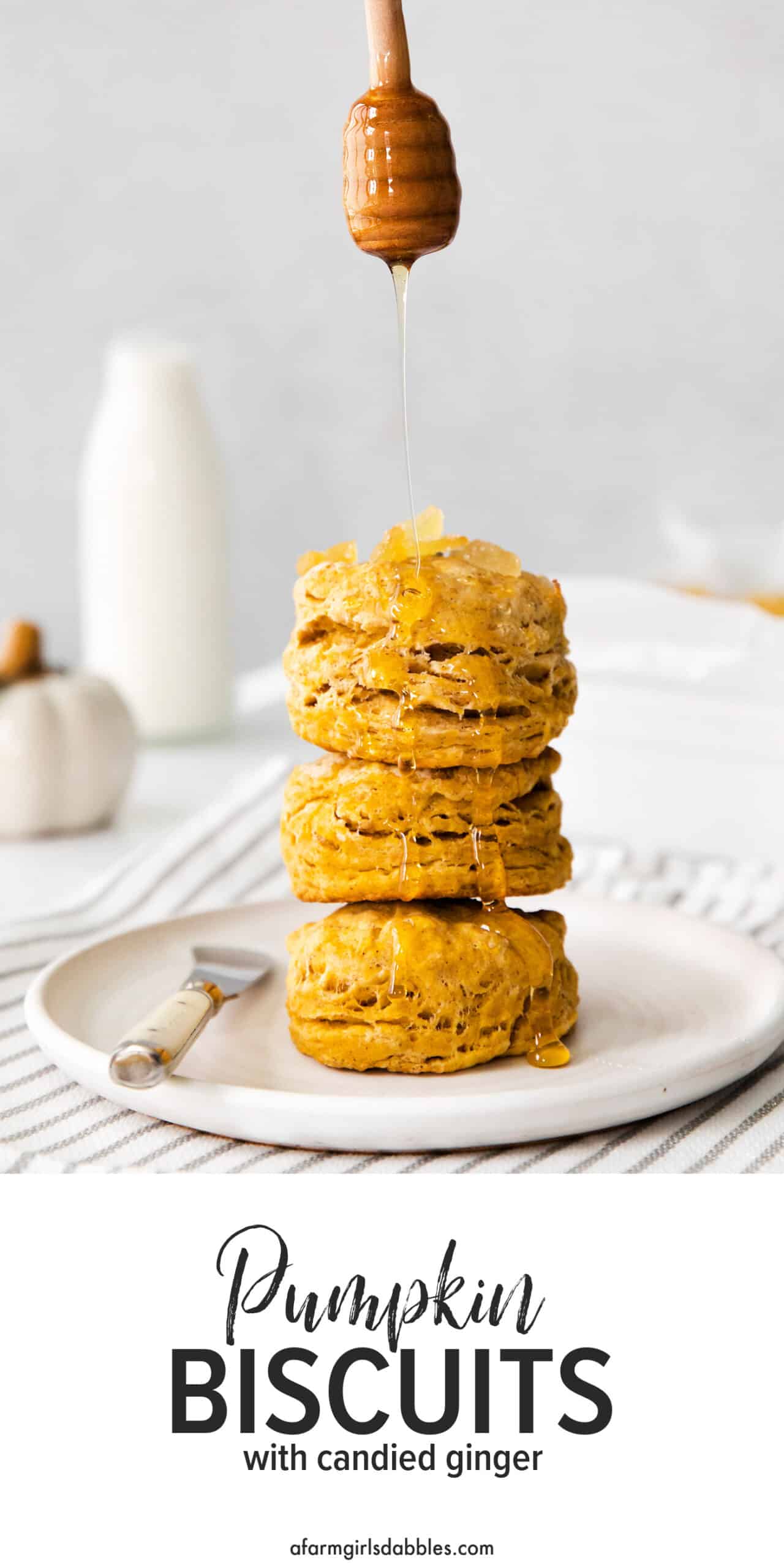 Pinterest image for pumpkin biscuits