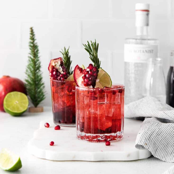 Two pomegranate gin and tonics with rosemary