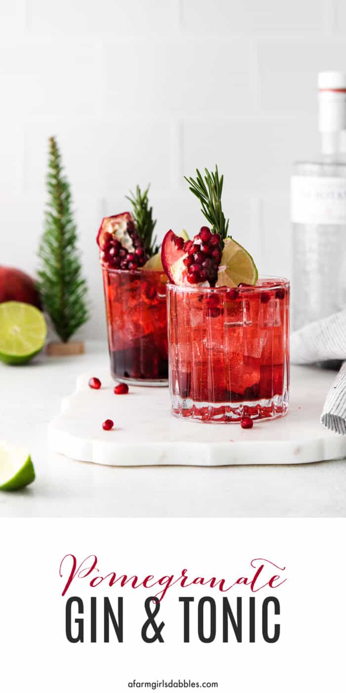 Two pomegranate gin and tonics