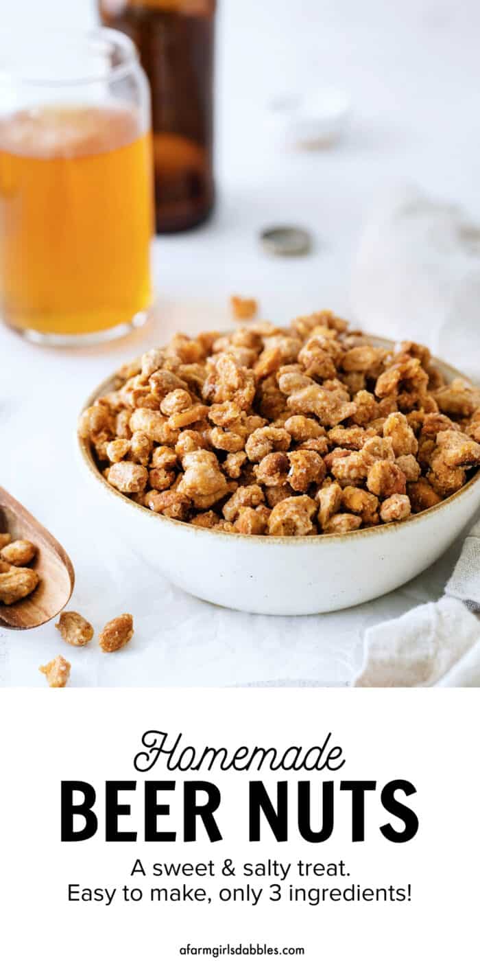 Pinterest image for beer nuts