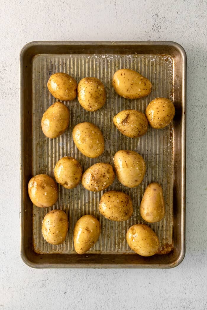 Mini potatoes on a baking sheet
