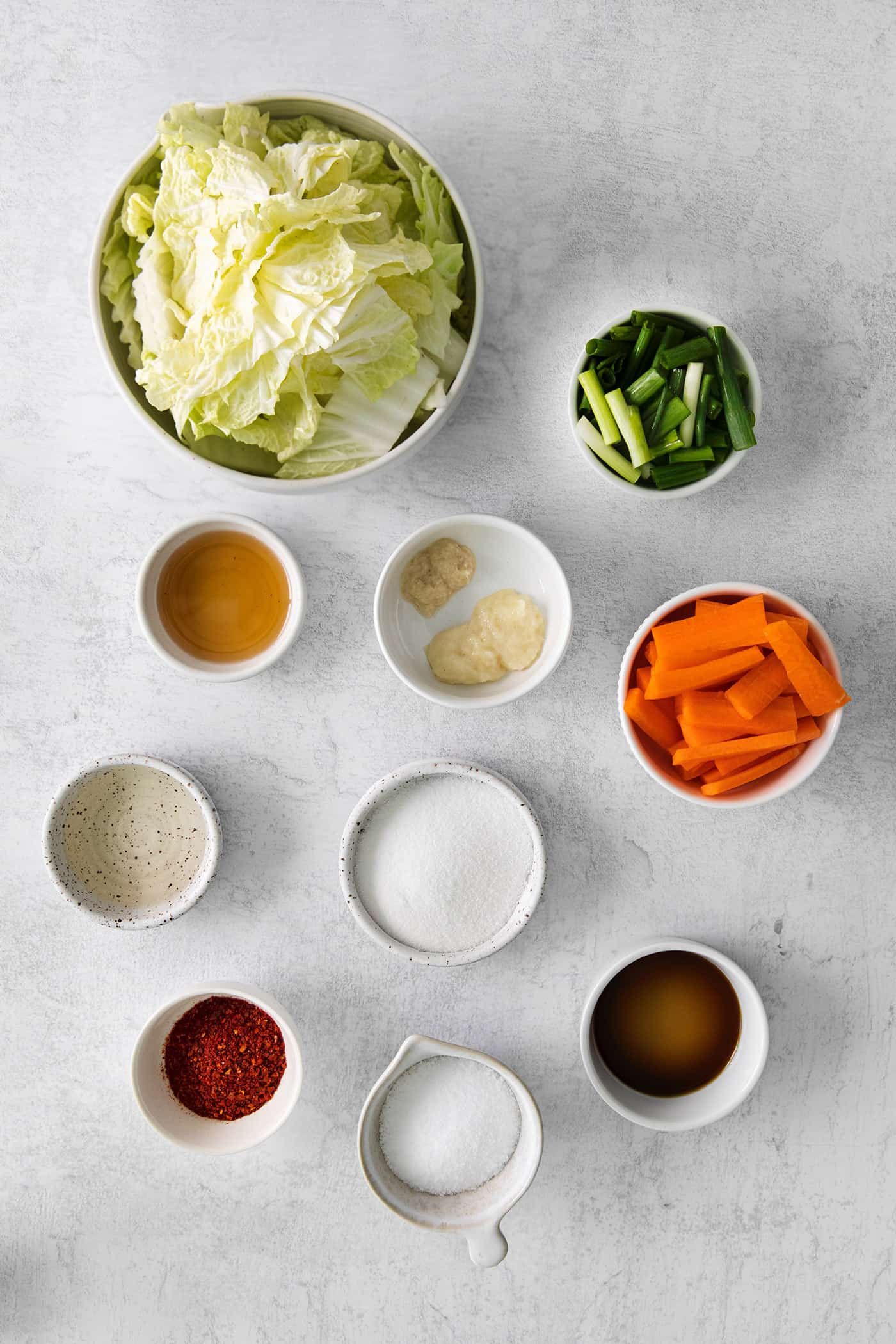 overhead view of kimchi ingredients
