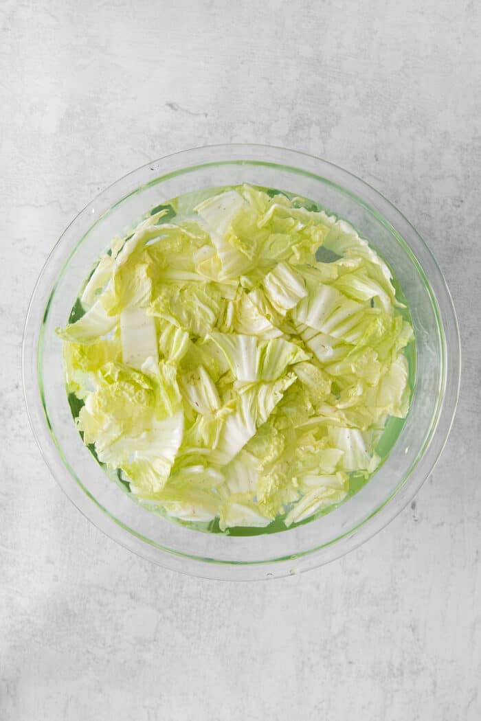 Napa cabbage soaking in water