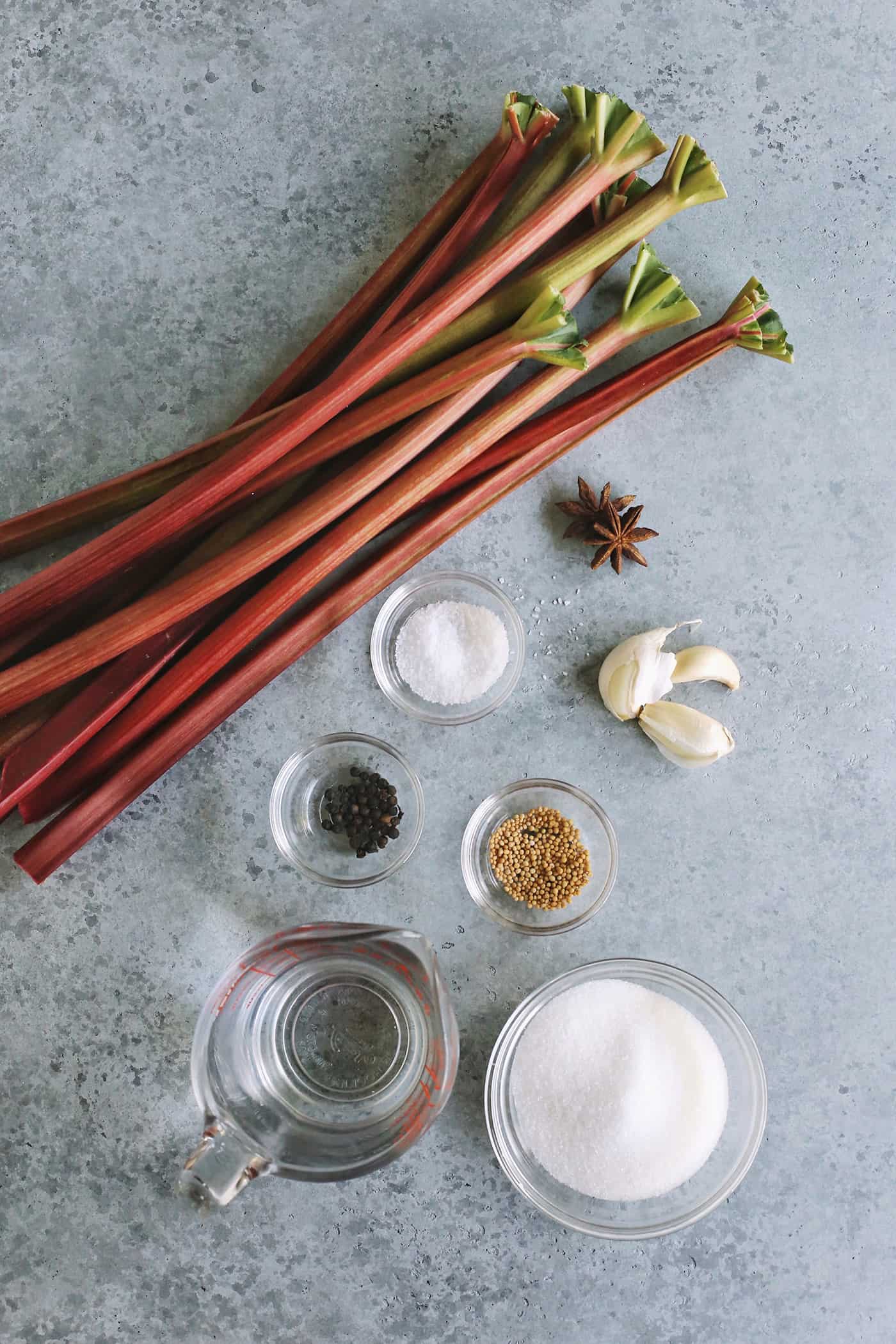 Overhead view of pickled rhubarb ingredients