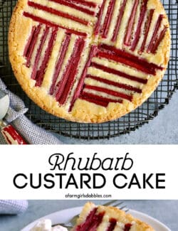 Pinterest image for rhubarb custard cake