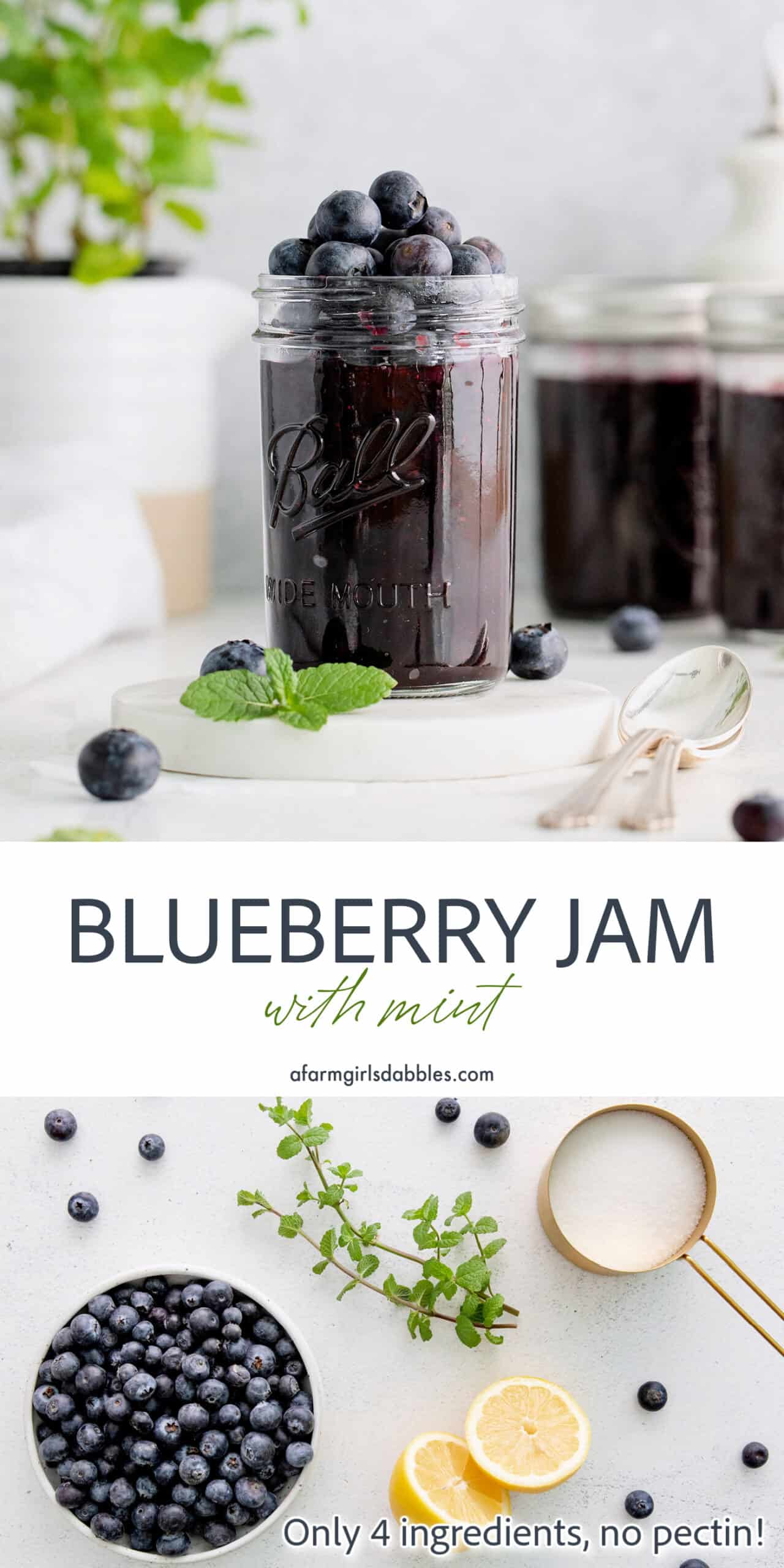 Pinterest image for blueberry jam with mint