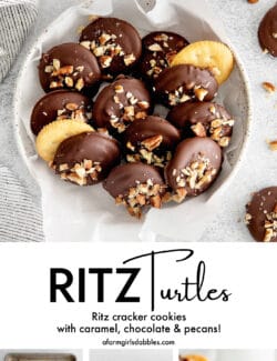 Pinterest image for Ritz turtles