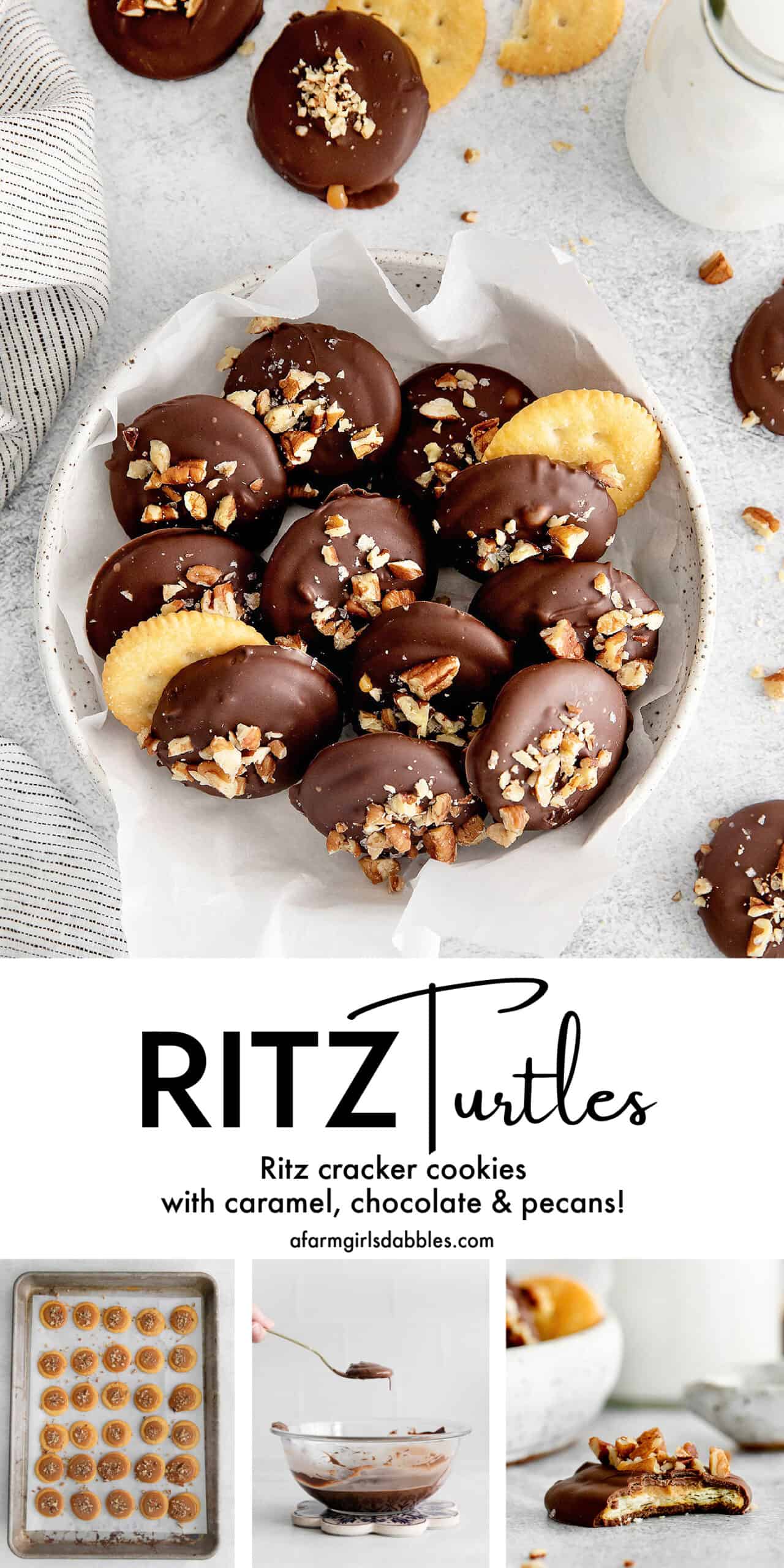 Pinterest image for Ritz turtles