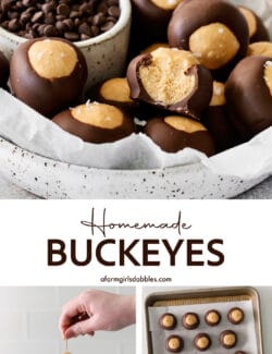 Pinterest image for buckeyes