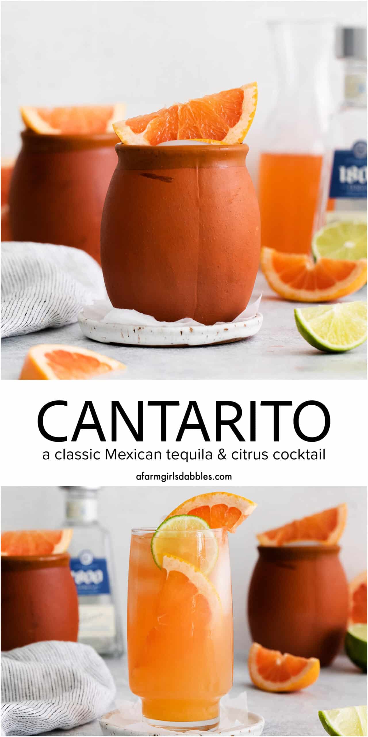 Pinterest image for cantarito cocktails